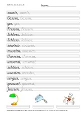 DSS_2S_Bu_s_Nr_08.pdf